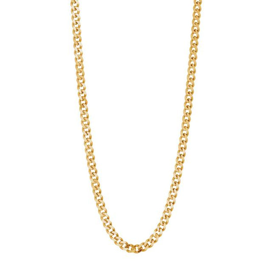 Son of Noa Panzerkette